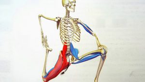 Verite Fitness Right And Wrong Way To Stretch Hip Flexors